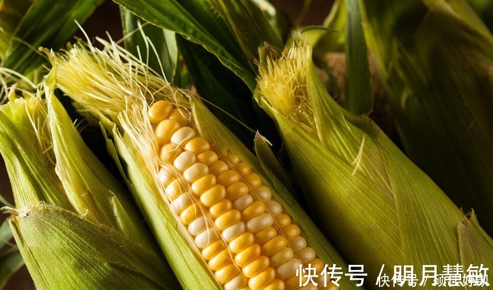 冷冻|保存玉米,直接冷冻还是煮熟再冻教你正确做法,玉米新鲜又香甜