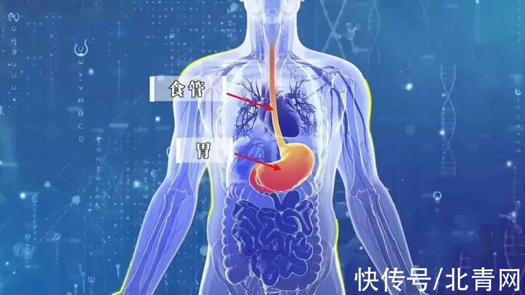 血清|上腹隐痛一个月，35岁男士竟被查出胃癌！学会这3招，是胃癌防治的关键