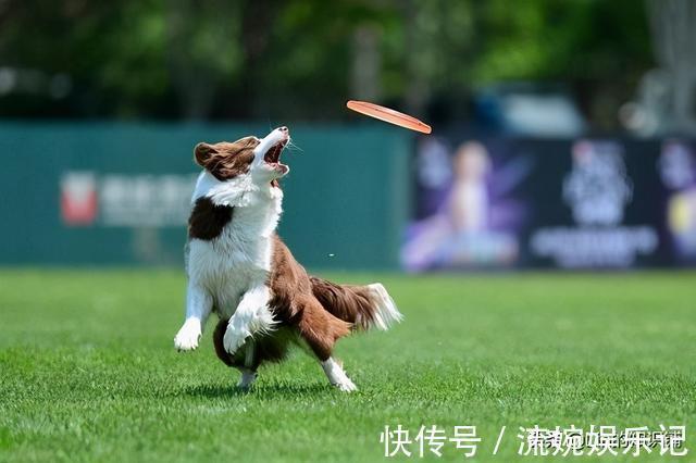 12个冷知识：你可能没听说过，但却一定真实有据