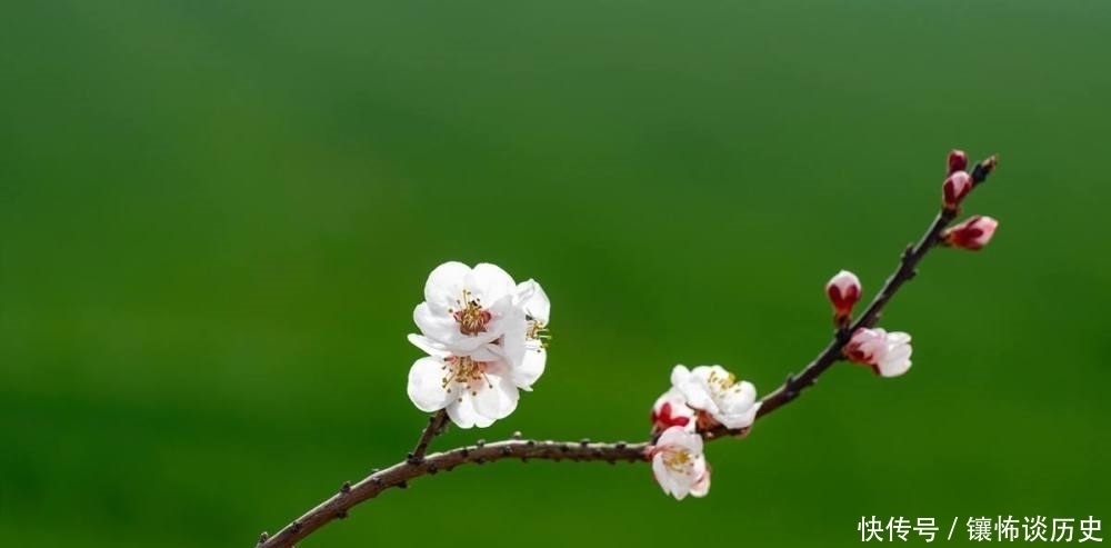 诗人#清风明月正宜人,足以慰风尘,七首唯美宋诗,忘却烦恼只留星辰