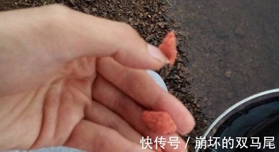 水深三米以上水域野钓，经常遇到黑漂不中鱼，这什么原因造成的呢