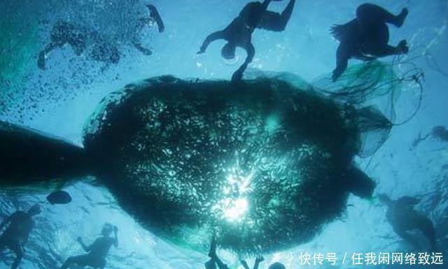 人类要失望了最新研究外星球上即便有氧气，也不一定有生命