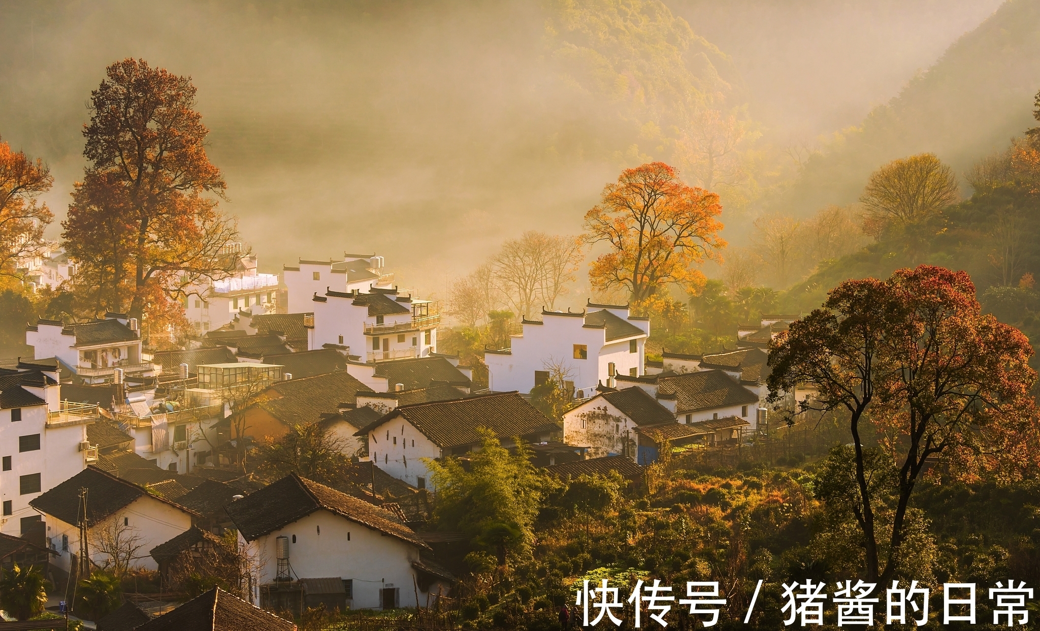 桑林里|王维一首五古,画面宁静祥和,让人向往