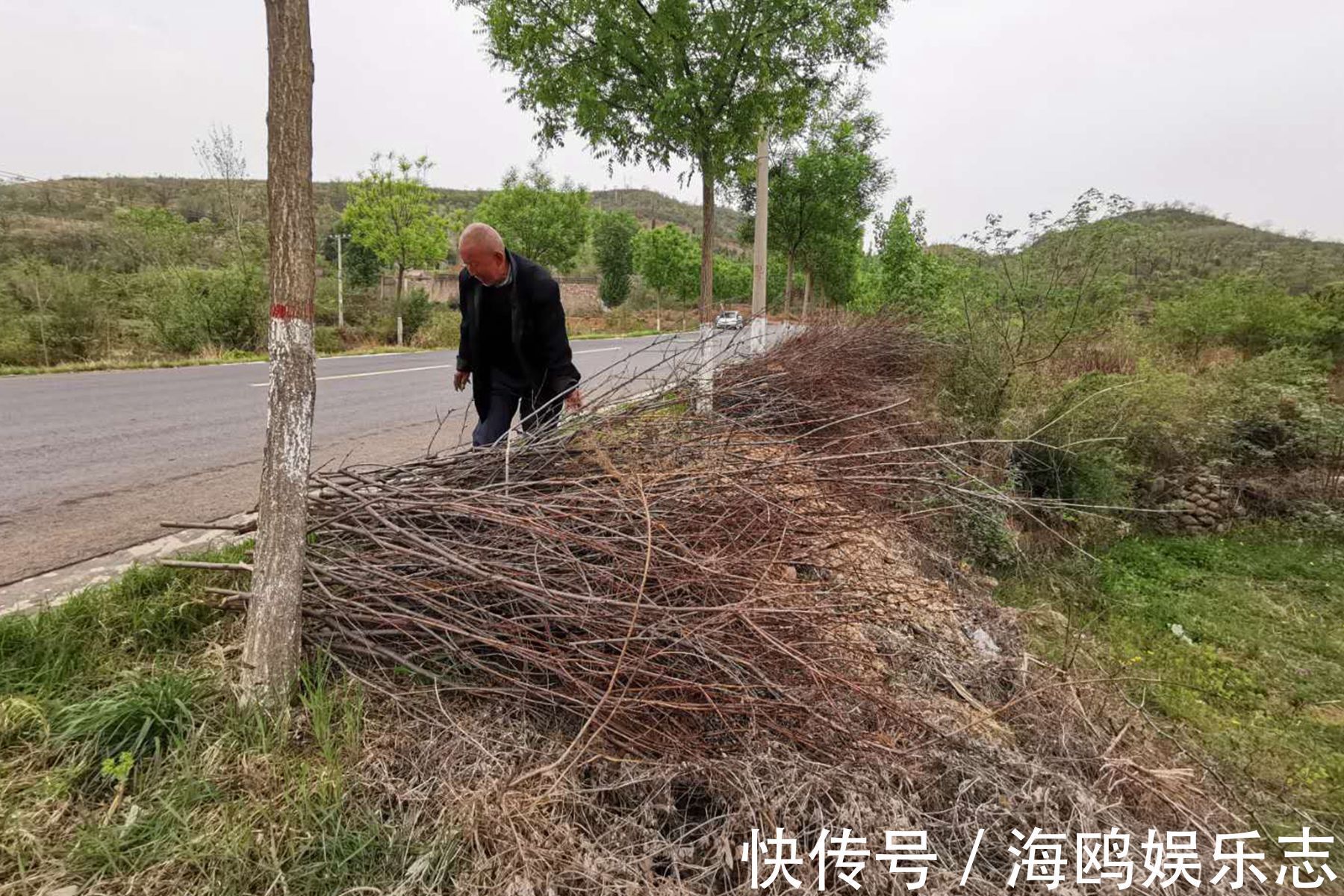 手指甲|农村7旬老人独身生活20年，手指甲长的惊人，看他生活成啥样