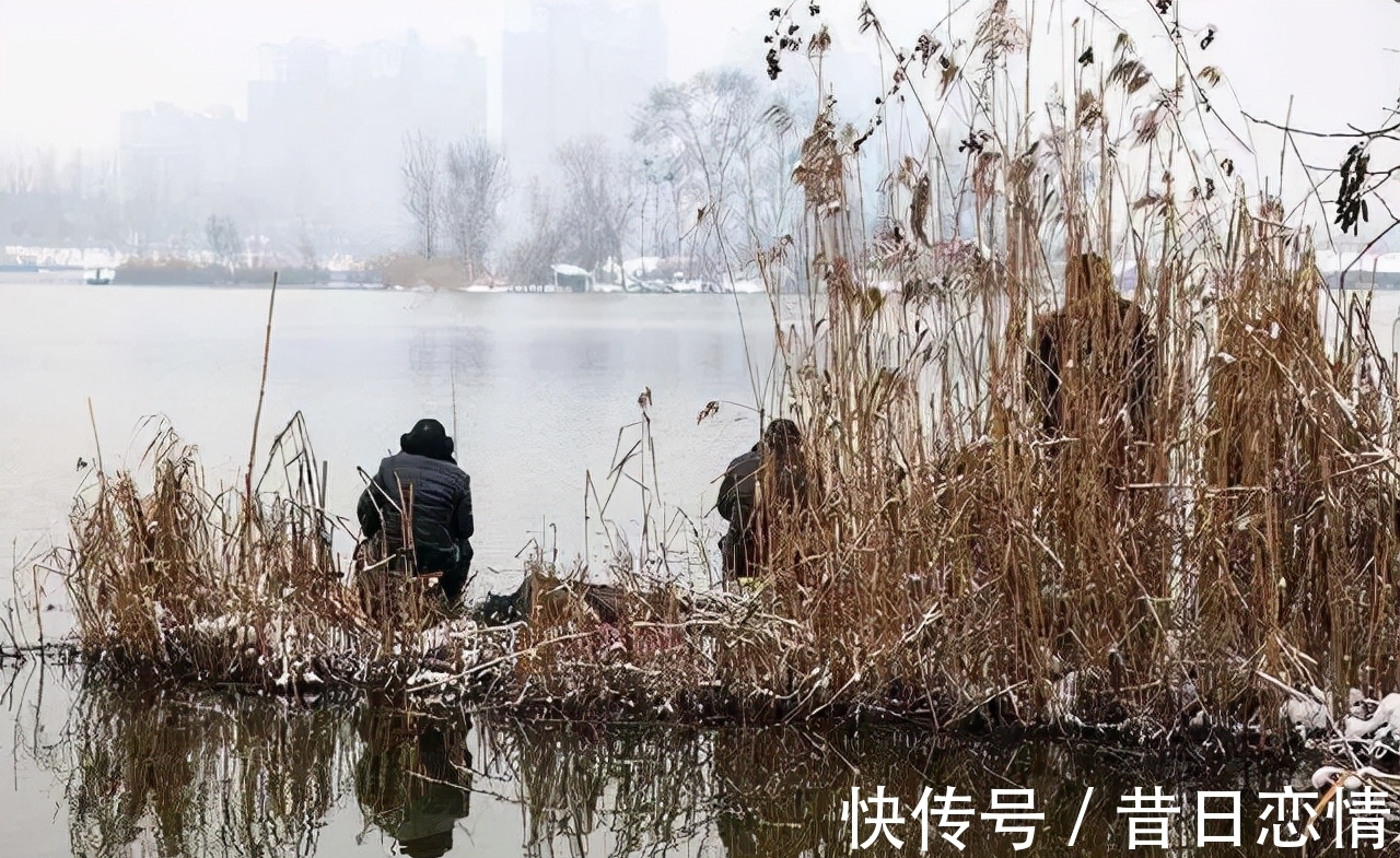 鲫鱼|钓友们冬钓鲫鱼选钓位,既不可死板教条,又不能走极端