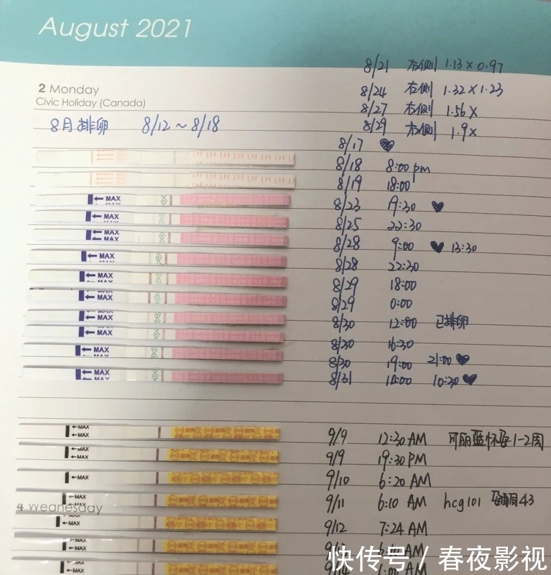 姐妹|发自内心的真实分享：2个月备孕成功，我就是这样做成虎妈的；