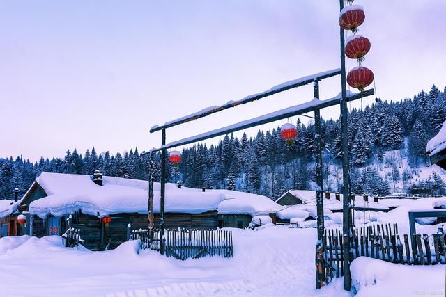 琼英！雪景诗词14首:疏影横斜雪拥时，枯茎不语尽情持