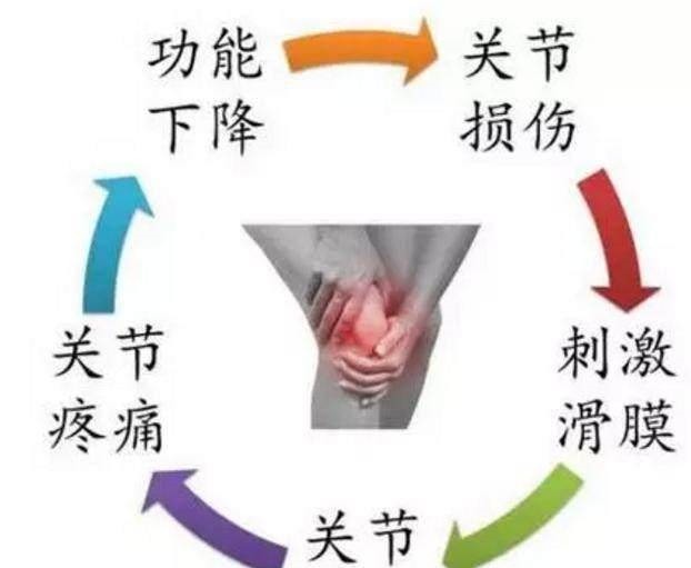 膝关节滑膜炎|膝盖肿走不了路老中医这个妙方，每天一次，滑膜炎连根拔除