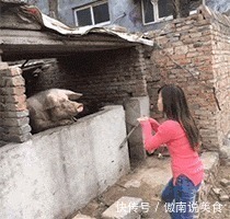 |搞笑GIF：单身久了真可怕 看什么都觉得在看美女