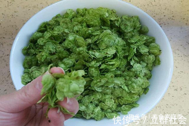 家庭季|农村树上长满这种“钱”,吃起来清香可口,城里人想吃却没口福