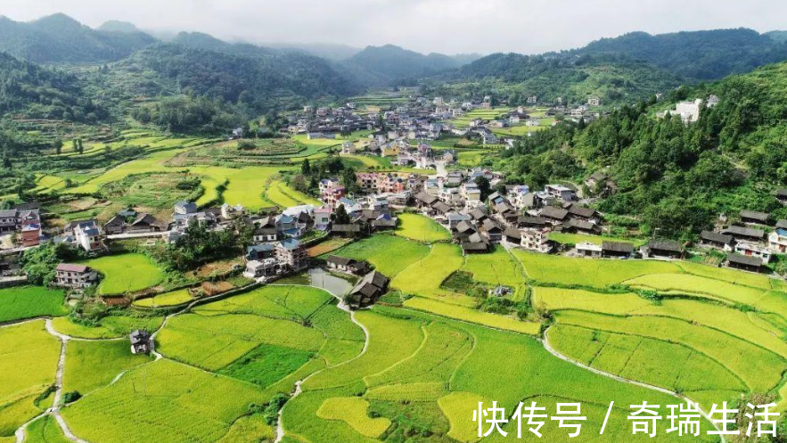 证书|2021年将实行“户口合并”这三件事要抓紧办,以后怕不好申请