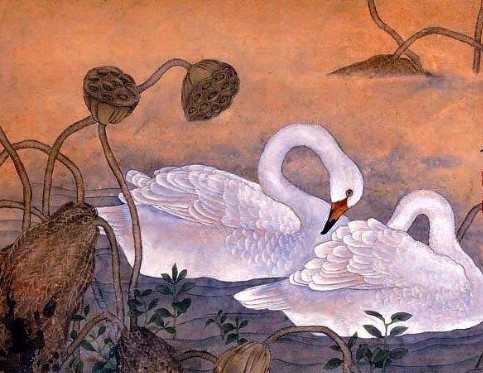 咏鹅|你只知他孩提时候快乐的《咏鹅》,却未闻他暮年时忧伤的《咏蝉》