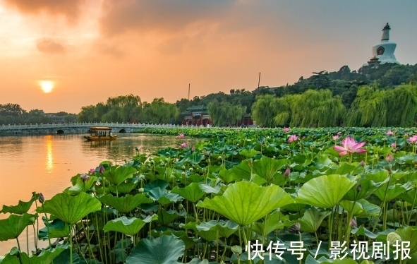 属相|步入10月份，吉星照耀，4属相财源滚滚，大吉大利，生活大富大贵