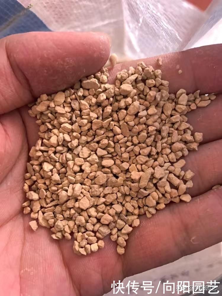 麦饭石|?养多肉，硅藻土超级好用，价格很便宜，比麦饭石好用得多