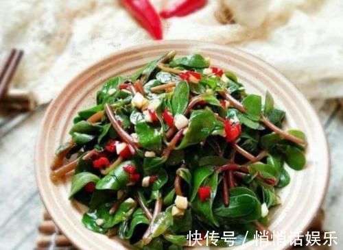 农村|农村常见的野草，竟是天然的“胰岛素”，坚持吃，降血糖很简单！