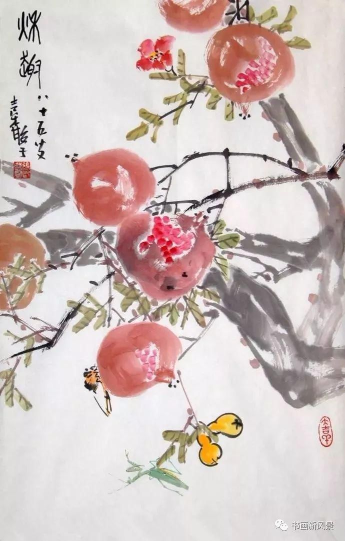  张辛稼|一鸟一虫一世界，真美！