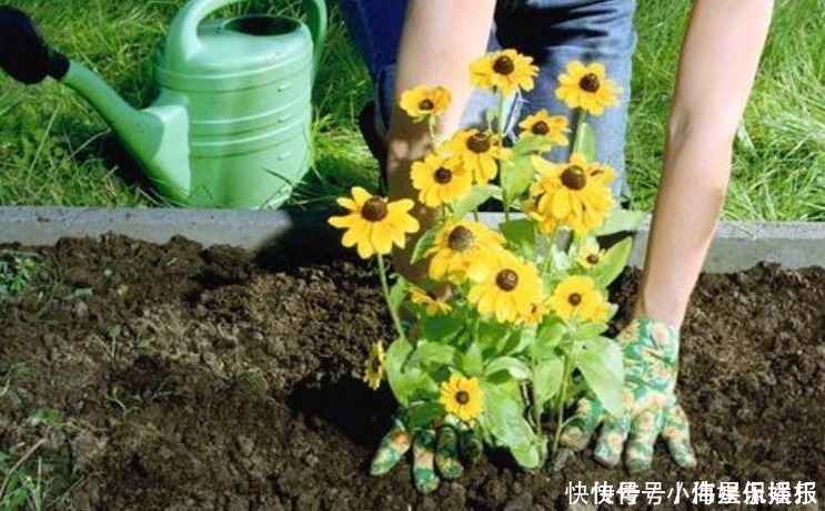 女性|50岁女性有以下3个生活习惯，值得恭喜，更年期可能平稳度过