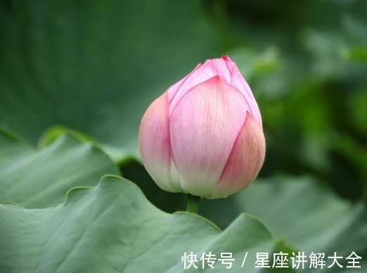 财运|7月上旬，贵人多多，4属相财运上涨，收获幸福，生活充满光芒