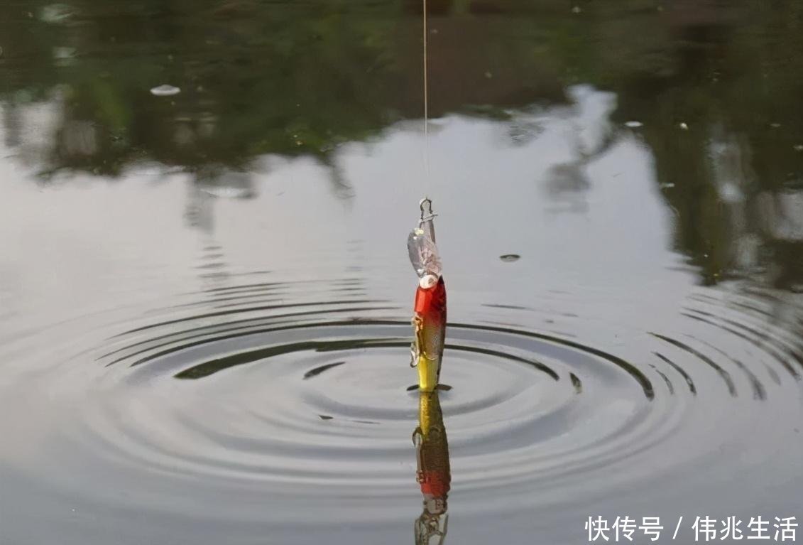 钓友|野河钓鱼不知道怎么调漂,这种方法一学就会,适合钓多种鱼