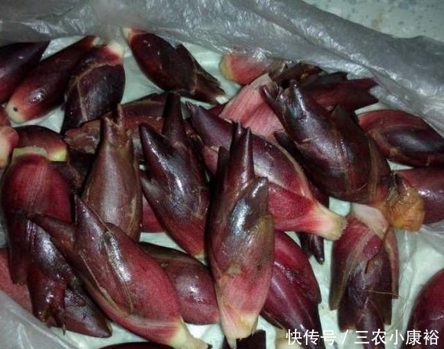 这种野菜以前没人要，现在野生的越来越少，成稀罕货，你见过吗？