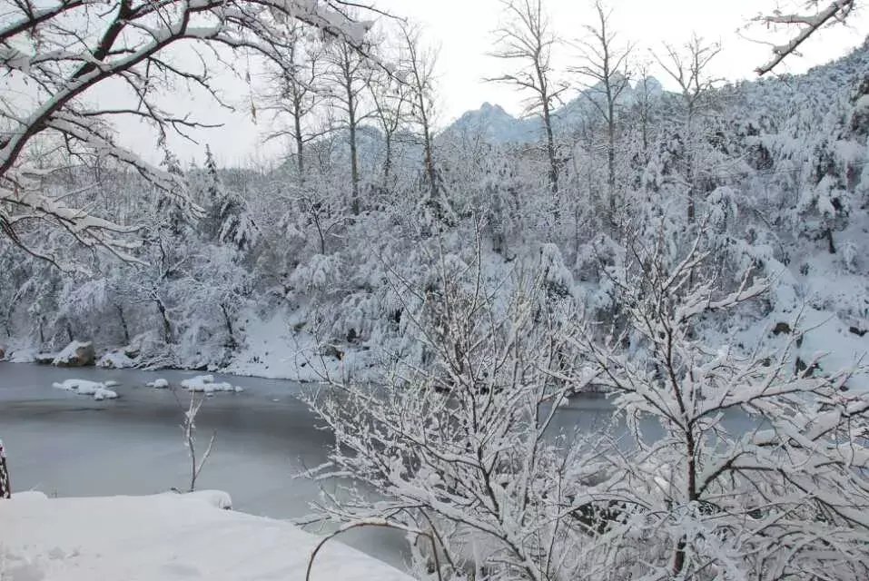 昆嵛山|一场冬雪后，昆嵛山竟变成这样……