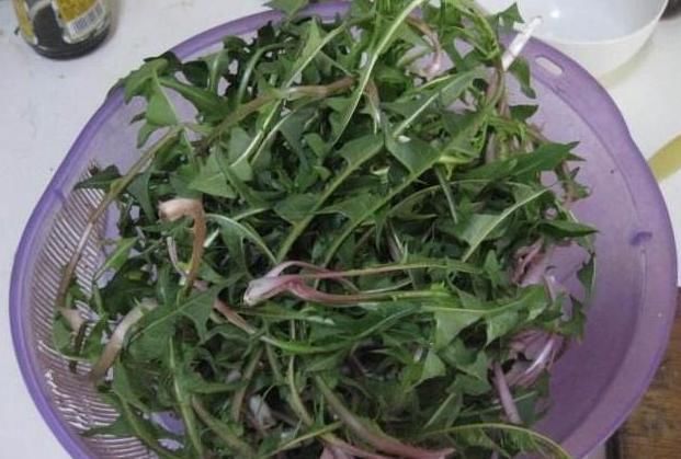 苦瓜|肝不好的人,尽量多吃3种食物,排出毒素,肝慢慢变好