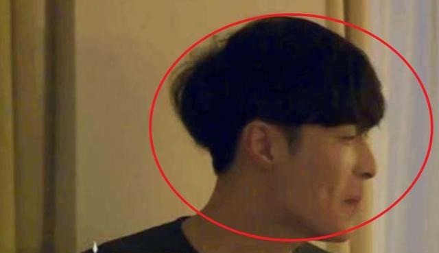 向往的生活|《向往的生活5》预告,黄磊还是老狐狸,张艺兴“捡鸡蛋”工具人