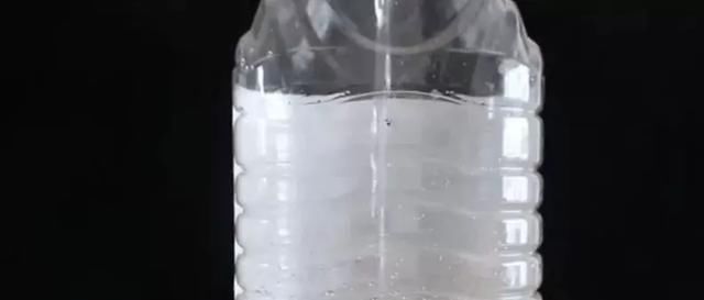 白根|只要家里有油桶,就不用花钱买花盆多肉种在油桶里,叶子胖嘟嘟