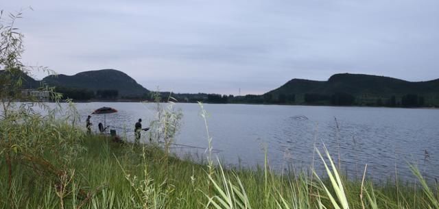 不宜|冬钓时,这三个位置不宜考虑,莫不信,老司机们都晓得,不学亏了