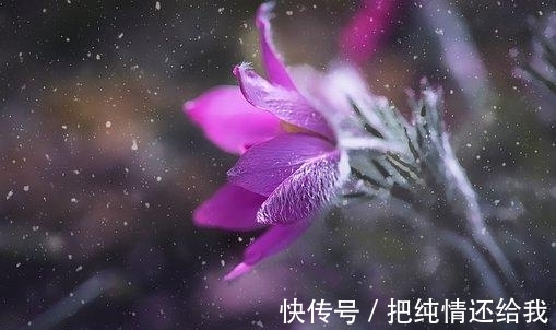 旧爱|3天后,相思彻骨,真爱靠近,重修旧好,旧爱奔来,共度余年