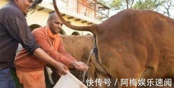 官员|余秋雨参观印度很沮丧,印度官员:别灰心,中国25年就赶上我们了