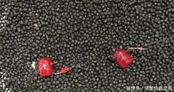 拉饵|钓鱼技巧:“水拉饵”是个什么饵料?是如何搭配使用的?