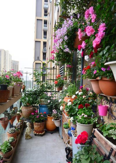 盆土|老花农分享的几个养花口诀,了解掌握,安全过冬,啥花都能活!