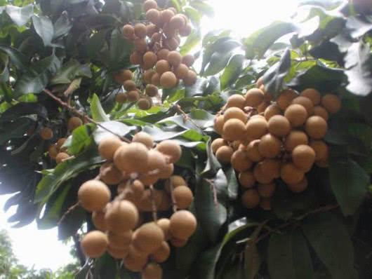 子宫|女生来''姨妈''时，3物再哭穷也要吃，排出污血，子宫更健康！