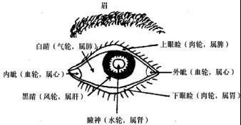 复明|眼睛一生病，耳鼻喉都受累，出现这些症状就危险了！一套“复明法”，内调外养祛眼疾，防复发