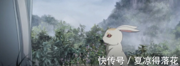 脏话&姑苏蓝氏的藏书阁都发生了什么蓝忘机第一次说脏话,兔子成宠物