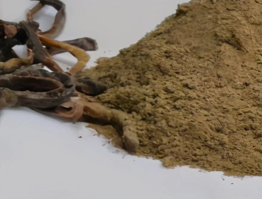 蚯蚓钓鱼这样加工，诱钓效果起码翻一倍