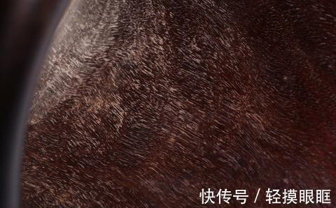 典雅&清代,紫檀素面笔筒