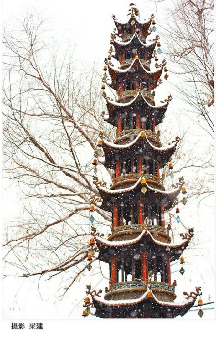 卧龙|在卧龙寺，听雪落下的声音