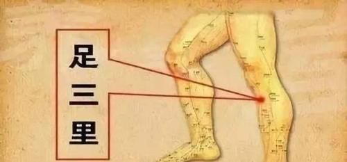 气血|健不健康根据腿就可以清楚,常揉3处,气血足,腿脚好