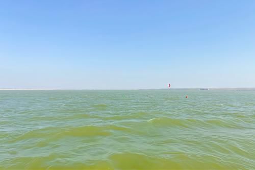 老年|单县浮龙湖，菏泽市唯一的省级旅游度假区，被誉为“江北西湖”