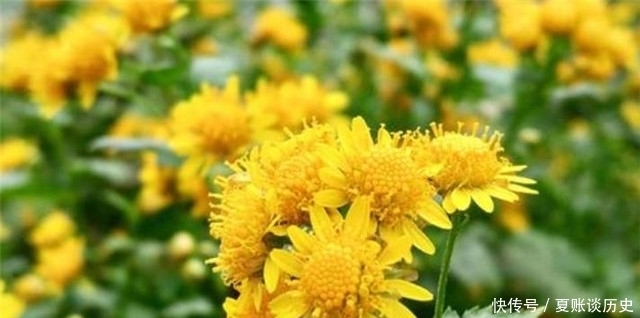 晚秋情诗小山词:红叶黄花秋意晚