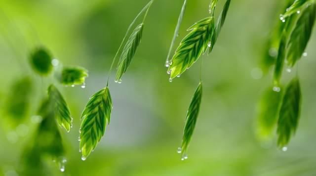 雷雨季，拍出雨的静美和诗意，这些方法要记好！