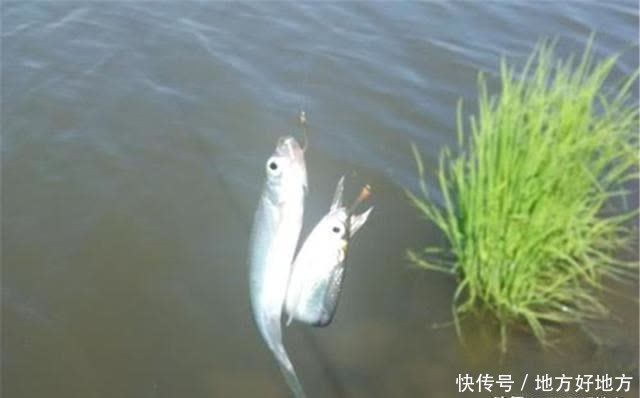 子线|调漂方法大全:图解无子线调漂,小鱼闹窝、流水走漂,就用这方法