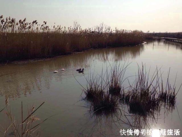 钓鱼|阴天钓鱼,指着这五个技巧,一年四季都不空军