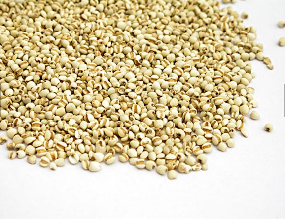 薏米的多种功效