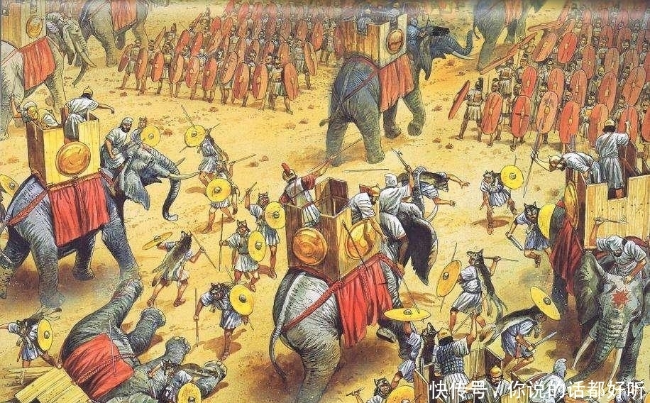 吼声|非洲战象打不过亚洲战象? 光是闻到气味听到吼声就不能忍受!