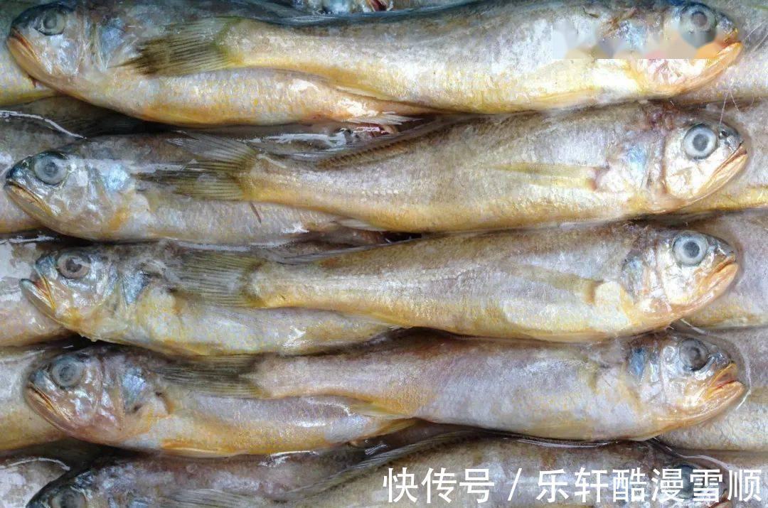 多宝鱼|中秋家宴，把这5种海鱼端上餐桌，营养高价格低，待客也倍有面子