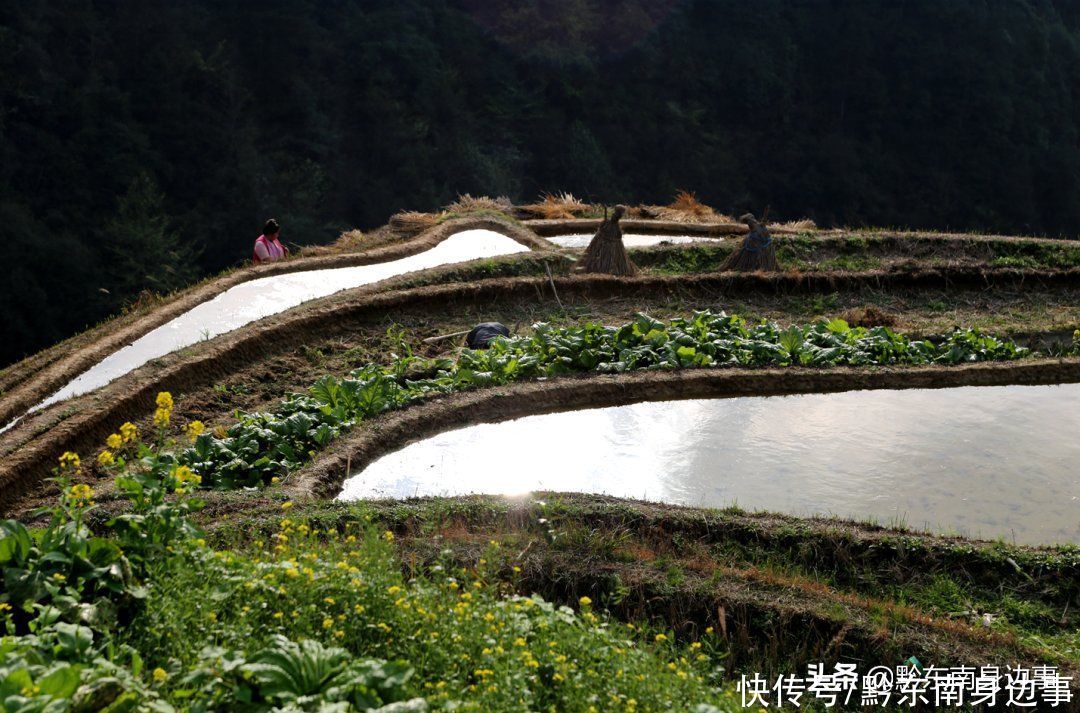 从江：悠悠清风，暖暖日光