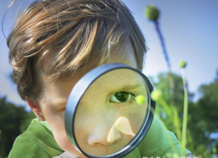 研究|哈佛大学最新研究:成功人士在童年时期,大多具备这4个共同点